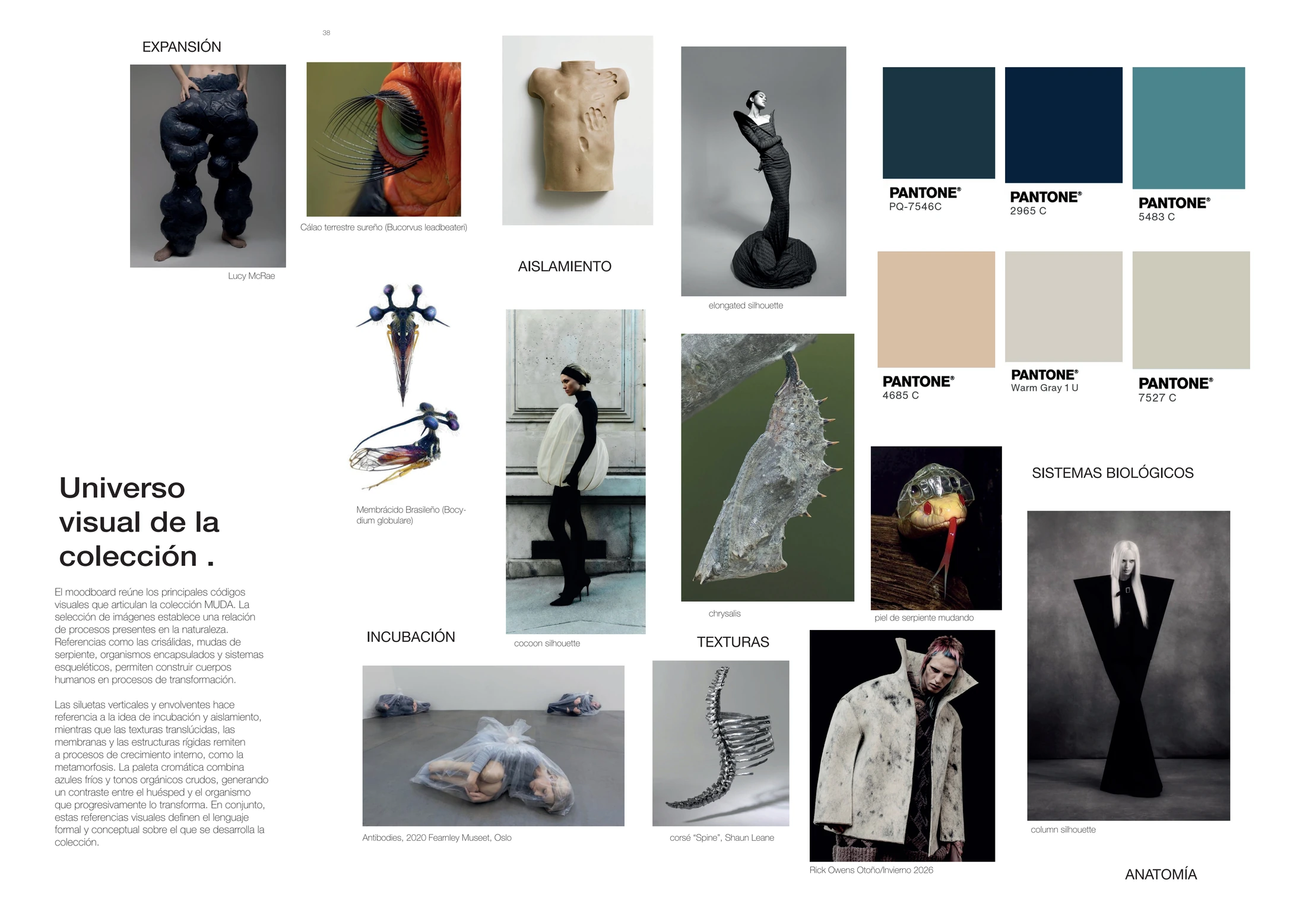 MUDA / complete visual universe spread from the project dossier