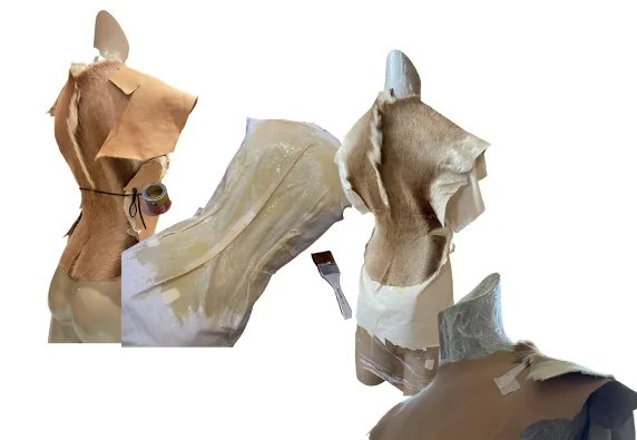 Moulded shell / development studies